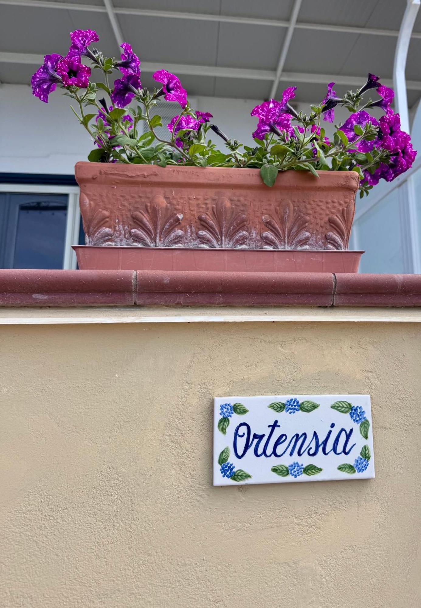 Il Profumo Dei Fiori Apartment *